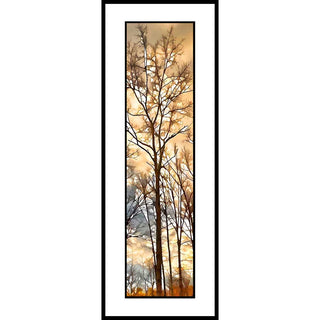A winter tree after the storm has left with sunlight overtaking the dark clouds.  After the Rain by Alison Thomas of Serenity Scenes Photography and Digital Art.