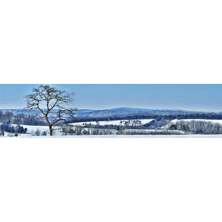 Discover a tranquil winter wonderland in this breathtaking horizontal panorama of  mountains and a single, snow-covered bare tree. Enjoy the beauty of nature from the comfort of your home!  Bare Tree Mountain by Alison Thomas of Serenity Scenes Photography and Digital Art.