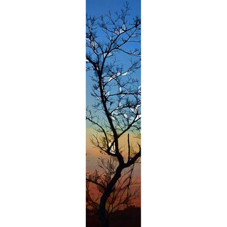 A stunning winter tree silhouetted against a brilliant sunrise. Branches and Sunrise by Alison Thomas of Serenity Scenes Photography and Digital Art.