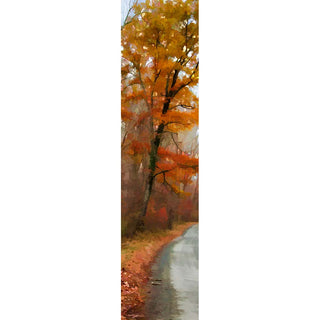 Travel down a peaceful country road in the fall season.  The vivid autumn colors of the orange tree and the clear sky provide an idyllic setting for a peaceful drive. Enjoy the beauty of nature with this stunning image.  Country Road Orange by Alison Thomas of Serenity Scenes Photography and Digital Art.
