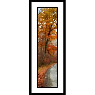Travel down a peaceful country road in the fall season.  The vivid autumn colors of the orange tree and the clear sky provide an idyllic setting for a peaceful drive. Enjoy the beauty of nature with this stunning image.  Country Road Orange by Alison Thomas of Serenity Scenes Photography and Digital Art.