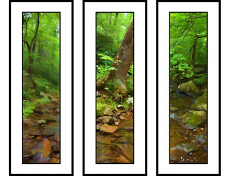 Soft Leaves, Tree on the Bank, and Leaves by the Creek in an abstract grouping of a creek and soft green leaves.  Soft and pastel.  Creek Grouping by Alison Thomas of Serenity Scenes Photography and Digital Art.