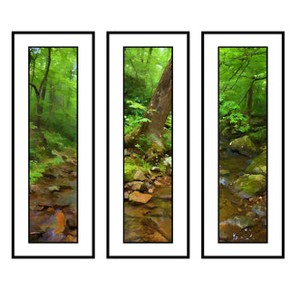 Soft Leaves, Tree on the Bank, and Leaves by the Creek in an abstract grouping of a creek and soft green leaves. Soft and pastel.  Creek Grouing by Alison Thomas of Serenity Scenes Photography and Digital Art.