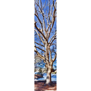 Experience the serene beauty of winter with our Lakeside Winter - Vertical Panorama. Featuring bare branches and a tranquil lake, this vertical panorama captures the essence of the season. Order now and bring the calming feel of winter to any room. Lakeside Winter by Alison Thomas of Serenity Scenes Photography and Digital Art