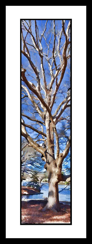 Experience the serene beauty of winter with our Lakeside Winter - Vertical Panorama. Featuring bare branches and a tranquil lake, this vertical panorama captures the essence of the season. Order now and bring the calming feel of winter to any room. Lakeside Winter by Alison Thomas of Serenity Scenes Photography and Digital Art