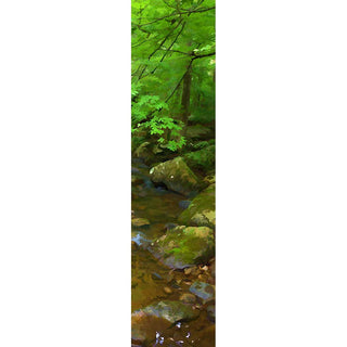 Leaves by the Creek - Vertical Panorama