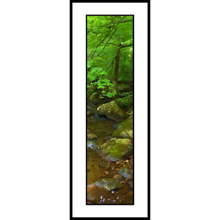 Creek Grouping- Vertical Panorama Grouping