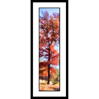 Orange and Blue  captures the vibrant colors of fall with its striking orange tree against a deep blue sky. Perfect for filling any wall with seasonally inspired color.  Orange and Blue by Alison Thomas of Serenity Scenes Photography and Digital Art.