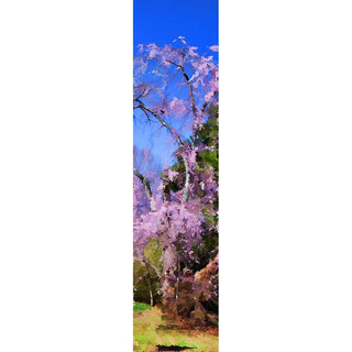 Pink Woods features stunning weeping cherry blooms. The delicate flowers exude grace and beauty, making them a perfect addition to any home or office. Enjoy the peaceful and tranquil aura these abstract flowers bring to any space.  Pink Woods by Alison Thomas of Serenity Scenes and Digital Art.