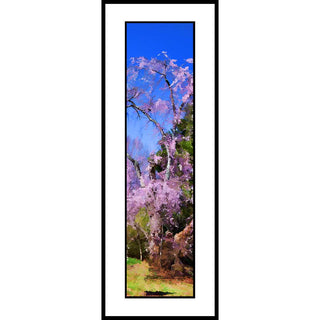 Pink Woods features stunning weeping cherry blooms. The delicate flowers exude grace and beauty, making them a perfect addition to any home or office. Enjoy the peaceful and tranquil aura these abstract flowers bring to any space. Pink Woods by Alison Thomas of Serenity Scenes and Digital Art.