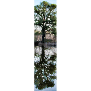 Discover the peaceful beauty of nature with Pond Reflection. Featuring a serene tree reflected in the calm waters of a pond, this print will add a sense of tranquility to any room. Let this stunning panorama bring the calming benefits of nature into your home.  Pond Reflection by Alison Thomas of Serenity Scenes Photography and Digital Art.