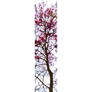 Another tree top cropped, this one showing only a stark white background with red accents.  Red by Alison Thomas of Serenity Scenes Photography and Digital Art.