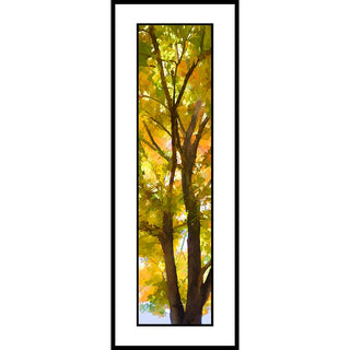 A solitary tree poised between the lush vibrancy of summer and the warm hues of fall. Season Change by Alison Thomas of Serenity Scenes Photography and Digital Art.