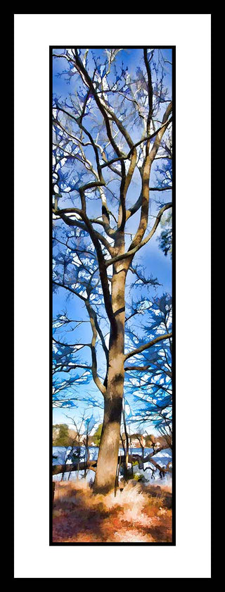 Experience the serene beauty of winter with our Tangled Winter - Vertical Panorama. Featuring a bare tree with intricately tangled branches, this piece captures the essence of the season. Perfect for any space, it brings a sense of tranquility and wonder. Tangled Winter by Alison Thomas of Serenity Scenes Photography and Digital Art.