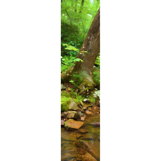 Tree on the bank of a creek.  Tree on the Bank by Alison Thomas of Serenity Scenes Photography and Digital Art.