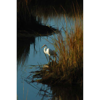 Waters Bend by Alison Thomas of Serenity Scenes Photography and Digital Art.