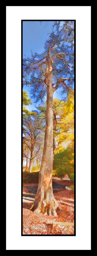 A winter tree surrounded by colors of yellow, blue, and green.   Winter Color by Alison Thomas of Serenity Scenes Photography and Digital Art.
