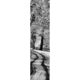 A curved winter road in the snow with tire tracks and a country fence. Winter Road by Alison Thomas of Serenity Scenes Photography and Digital Art.