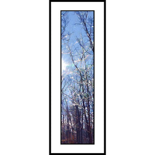 The sun is out after a snowstorm.  Winter Trees by Alison Thomas of Serenity Scenes Photography and Digital Art.