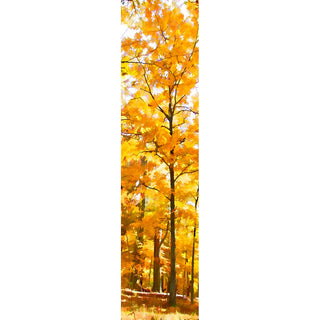 Yellow Forest captures the beauty of a yellow-hued autumn forest, with tall trees reaching into the sky. The vibrant colors of the foliage make this a unique and stunning scene that will look great in any home or office.   Yellow Forest by Alison Thomas of Serenity Scenes Photography and Digital Art.