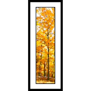Yellow Forest- Vertical Panorama