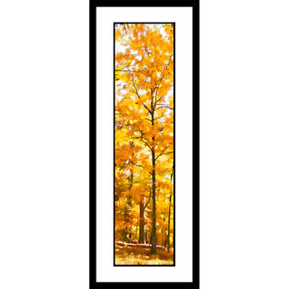 Yellow Forest captures the beauty of a yellow-hued autumn forest, with tall trees reaching into the sky. The vibrant colors of the foliage make this a unique and stunning scene that will look great in any home or office.   Yellow Forest by Alison Thomas of Serenity Scenes Photography and Digital Art.