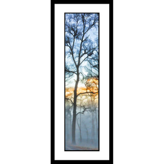 A bare tree emerges out of the morning fog covering this forest. A bright stripe of orange crosses the blue sky above. The bright light glows, caught in the fog, and illuminates the tree's silhouette. Blue Fog by Alison Thomas of Serenity Scenes Photography and Digital Art.