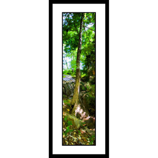 Cliff Tree - Vertical Panorama