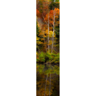 Fall colors reflected in the still water below. Color Reflection by Alison Thomas of Serenity Scenes Photography and Digital Art.