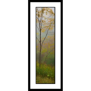 A thin tree with yellow leaves partially obscured by fog. Delicate Yellow by Alison Thomas of Serenity Scenes Photography and Digital Art.