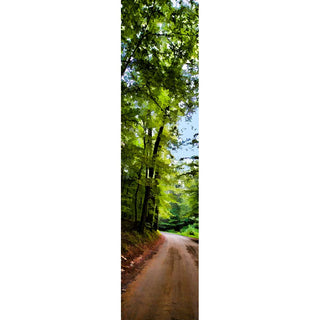 Featuring a winding dirt road among lush green trees and a bright blue sky, this vertical panorama of Dirt Road is the perfect addition to your home. Enjoy the beauty of nature from the comfort of your living room.  Dirt Road by Alison Thomas of Serenity Scenes Photography and Digital Art.