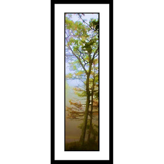 A river of early morning fog rolls through the forest. Two slender trees stand on a hillside, sporting green and brown leaves. The sun has begun burning off the fog, lifting it from the ground to the tops of the trees and turning it into a bright haze in the morning light. Early Morning Fog by Alison Thomas of Serenity Scenes Photography and Digital Art.