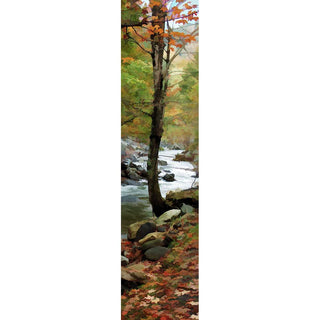 Only a few orange leaves remain on a tree at the very edge of a rocky forest stream. Rocks border the water, and a blanket of autumn leaves covers the forest floor. Fall Stream by Alison Thomas of Serenity Scenes Photography and Digital Art.