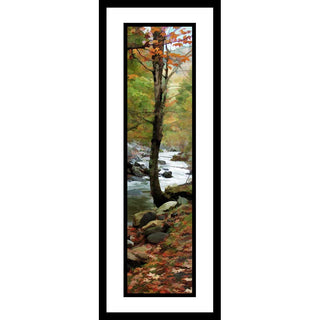 Only a few orange leaves remain on a tree at the very edge of a rocky forest stream. Rocks border the water, and a blanket of autumn leaves covers the forest floor. Fall Stream by Alison Thomas of Serenity Scenes Photography and Digital Art.