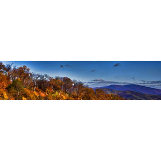 A hilltop forest losing its autumn leaves stands before rolling blue mountains in the distance. The patterns of colorful autumn trees can be faintly seen on the mountainside, beneath low clouds in the bright blue sky. Fall Vista by Alison Thomas of Serenity Scenes Photography and Digital Art.