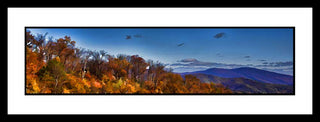 A hilltop forest losing its autumn leaves stands before rolling blue mountains in the distance. The patterns of colorful autumn trees can be faintly seen on the mountainside, beneath low clouds in the bright blue sky. Fall Vista by Alison Thomas of Serenity Scenes Photography and Digital Art.