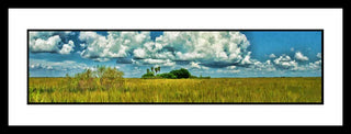A hammock in the Everglades with expressive clouds. Glades View by Alison Thomas of Serenity Scenes Photography and Digital Art.