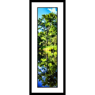 A green tree, the foliage around it, and the brilliant blue sky above reflected in a clear lake. The stumps off to one side look like bears... almost. Green Reflection by Alison Thomas of Serenity Scenes Photography and Digital Art.