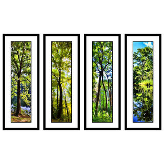 Sunlit Leaves, Green Dance, Intertwined, and Green Reflection. in the Greens grouping by Alison Thomas of Serenity Scenes Photography and Digital Art. Bring summer into your home all year round.