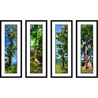 Twisted Green, Cliff Tree, Mountain Green, and Old Green in a new green grouping.  Bring summer in the mountains into your home.  Greens grouping 2 by Alison Thomas of Serenity Scenes Photography and Digital Art.