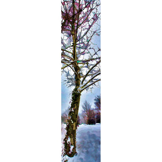 Vertical panorama "Ivy Tree" is the perfect winter accent for your home. With an intricate look of bare branches covered in snow and red berries, this classic tree design will bring a beautiful touch of nature to your decor. Ivy Tree by Alison Thomas of Serenity Scenes Photography and Digital Art.