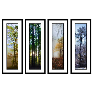 Early Morning Fog, Woods at Sunset, Yellow Fog, and Winter Woods in the Muted Seasons grouping by Alison Thomas of Serenity Scenes Photography and Digital Art.