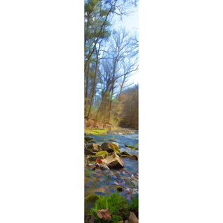 A rocky stream flows through a forest newly touched by spring. A shock of bright green grass borders the waterside in the foreground. New Grass by Alison Thomas of Serenity Scenes Photography and Digital Art.