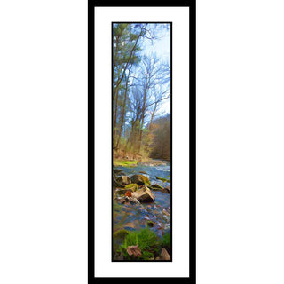 A rocky stream flows through a forest newly touched by spring. A shock of bright green grass borders the waterside in the foreground. New Grass by Alison Thomas of Serenity Scenes Photography and Digital Art.