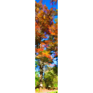 A magnificent old tree reaches into the sky, its leaves changing with the seasons. The sun shines bright, and a crisp fall day emerges in the contrast of bright orange leaves against a blue sky. Old Orange by Alison Thomas of Serenity Scenes Photography and Digital Art.
