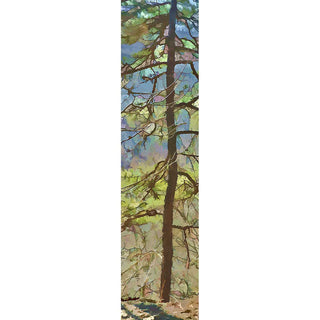 Early spring and mountain colors showing through the sparse branches of a pine tree. Pastel Pine by Alison Thomas of Serenity Scenes Photography and Digital Art.