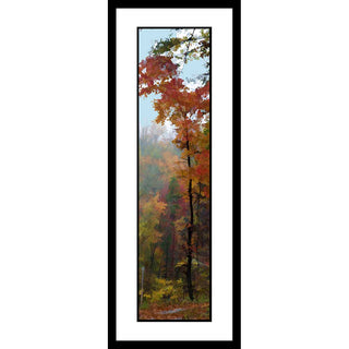 Experience the breathtaking beauty of nature with vertical panorama "Reach". Feel the warmth of the calming orange tones of the autumn tree, reaching out of the gently rolling fog. Enjoy a unique view of the world and a moment of awe-inspiring peace.  Reach by Alison Thomas of Serenity Scenes Photography and Digital Art.