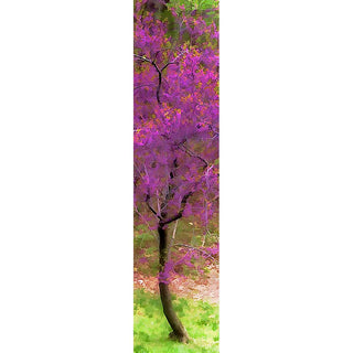 A vibrant redbud tree flourishes in the woods, its branches full with fuchsia blossoms and tipped with clusters of small green leaves.  Redbud Spring by Alison Thomas of Serenity Scenes Photography and Digital Art.