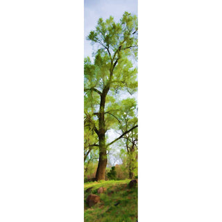 Vertical panorama "Soft Green";is a beautiful image depicting a single tree atop a lush hillside. The soft green tones convey a sense of calm and peace, perfect for bringing a serene atmosphere to any living space. Soft Green by Alison Thomas of Serenity Scenes Photography and Digital Art.