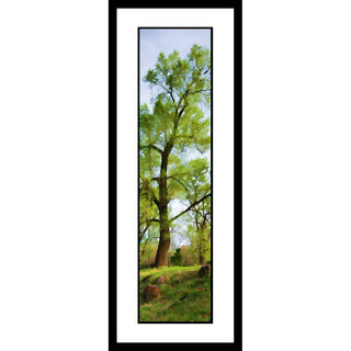 Vertical panorama "Soft Green";is a beautiful image depicting a single tree atop a lush hillside. The soft green tones convey a sense of calm and peace, perfect for bringing a serene atmosphere to any living space. Soft Green by Alison Thomas of Serenity Scenes Photography and Digital Art.